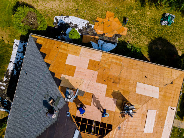 Best Roof Gutter Cleaning  in Meadowbrook, CA